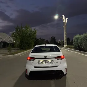 Toyota Corolla 2019
