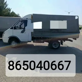 Gazel hyzmat газел услуга