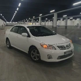 Toyota Corolla 2013