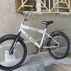 welsebit