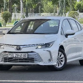 Toyota Corolla Hybrid 2021