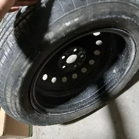 korolla diska balon