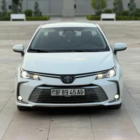 Toyota Corolla 2023