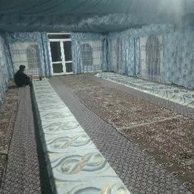 pūmmez palatka