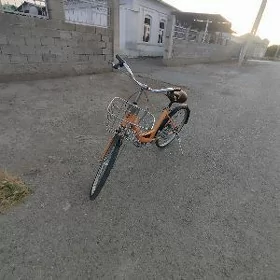 Yapon Tigir