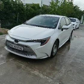 Toyota Corolla 2021