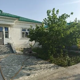 Täze zaman 2-ji tapgyr 3 kom.