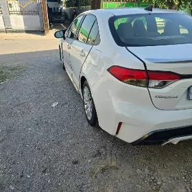 Toyota Corolla 2019