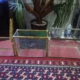 Akwarum