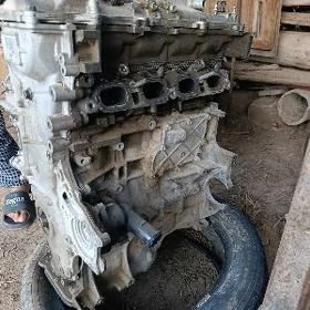 Carolla mator