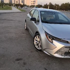 Toyota Corolla 2020