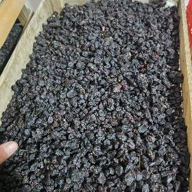 kişmiş