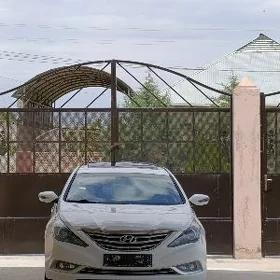 Hyundai Sonata 2010