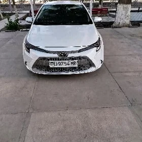 Toyota Corolla 2021
