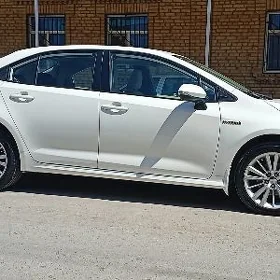 Toyota Corolla 2021