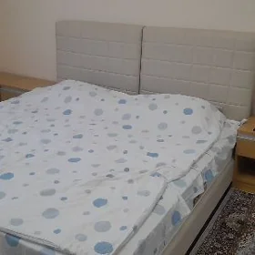 taze zaman