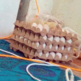 Ýaşylbaş ördegiň ýumurtasy sat