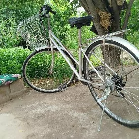 WELIK 27