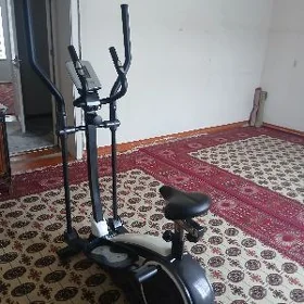 Trnažor tigir
