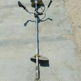 Satlyk ot mator