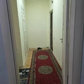 Mir 1 1 komnat 