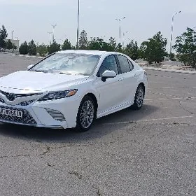 Toyota Camry 2020
