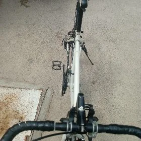 Tigir sportiwny