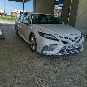 Toyota Camry 2023