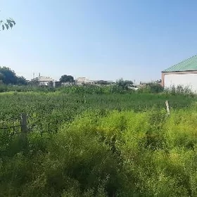 satlyk ýer