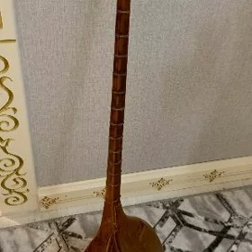 Satlyk dutar