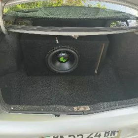 Pioner apartura