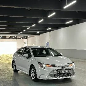 Toyota Corolla 2020