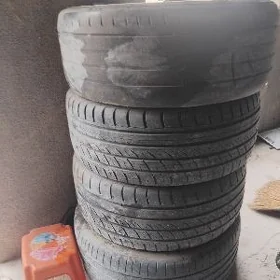 18 katolla tiker