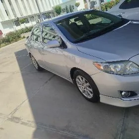 Toyota Corolla 2009