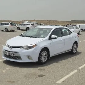 Toyota Corolla 2014