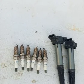 3.5 katuşga siweç morda