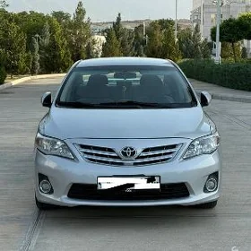 Corolla fara