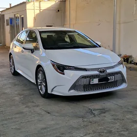 Toyota Corolla 2021