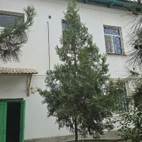  Gres buzmeyin 