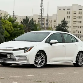 Toyota Corolla 2021