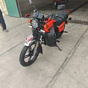 Fekon FK150-8G 2023