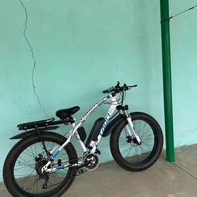 TOKLY TIGIR