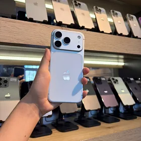 17PRO 100% 256GB SILVER