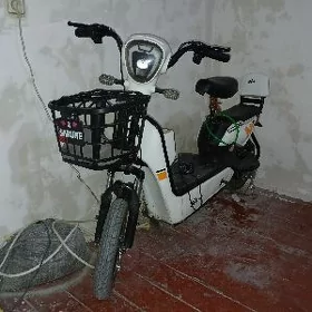 dastawsik iş gerek 30 mkr