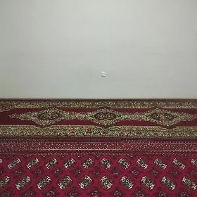 Halylar ulanylan