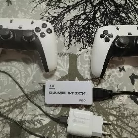 sega