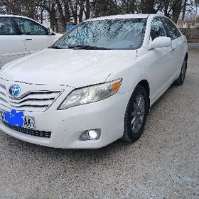 Toyota Camry 2010