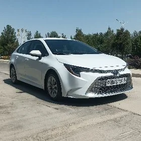 Toyota Corolla 2023