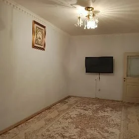 Бизмеин гресс