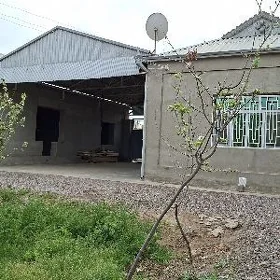 SATLYK JA